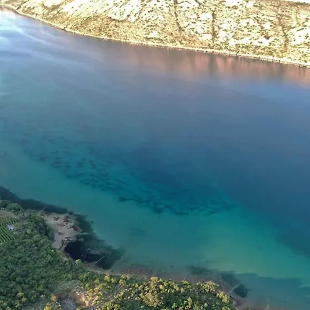 Apartament Barbat 19 *