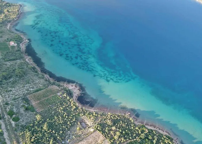 Barbat 19 * Barbat na Rabu